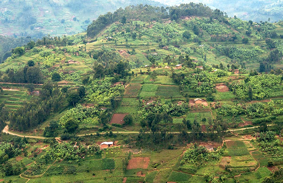 Rwanda in 2019: 25 years on from the genocide HD wallpaper | Pxfuel