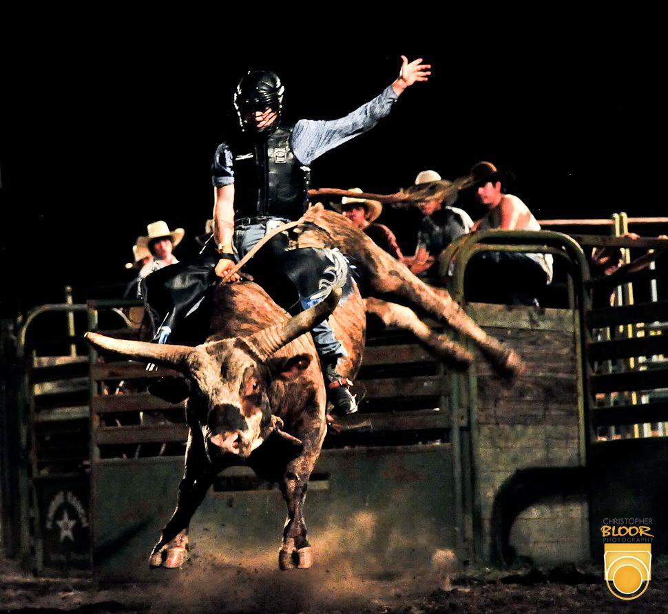 Image for PC: PBR Bull Riding