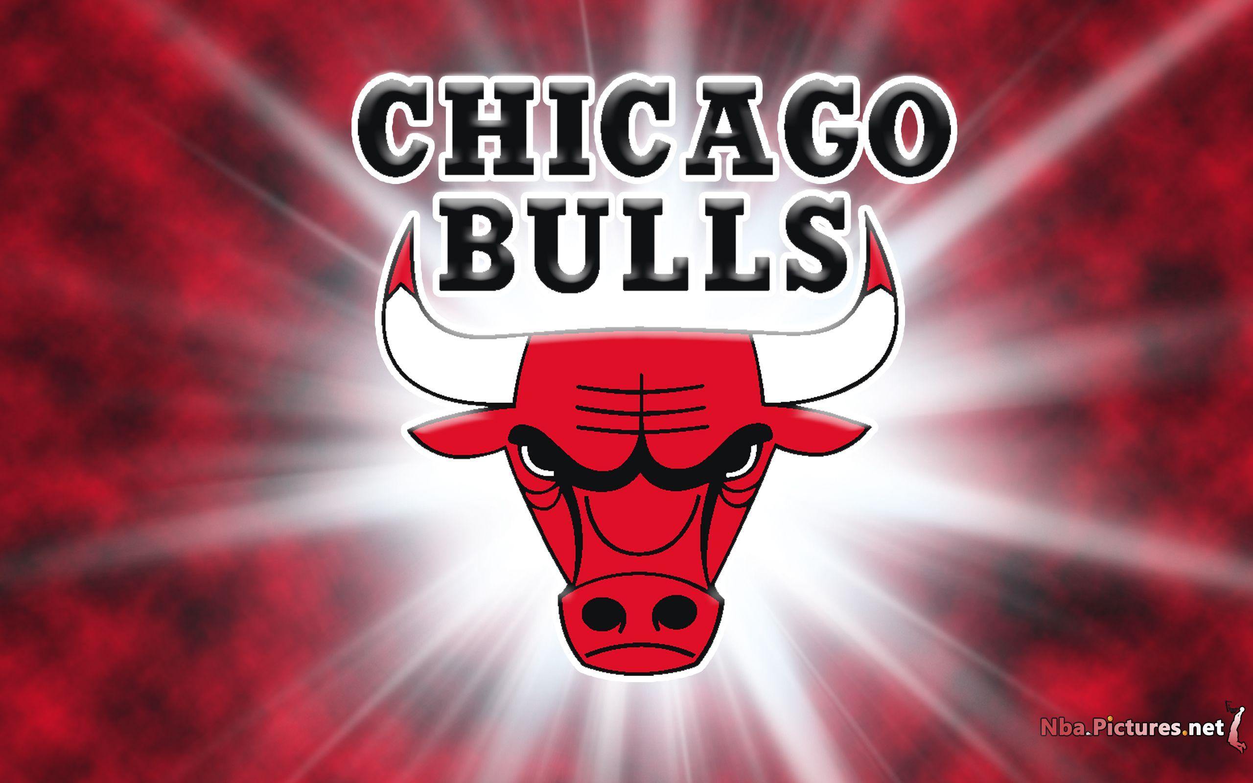 Free Bulls, Download Free Clip Art, Free Clip Art on Clipart Library