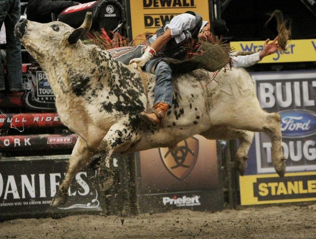 Bull Riding Wallpapers Wallpapers Cave Desktop Backgrounds
