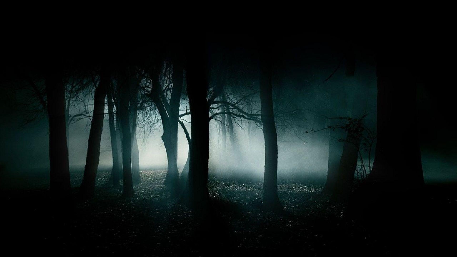 Horror Wood, Halloween, Helloween Horror Night Black