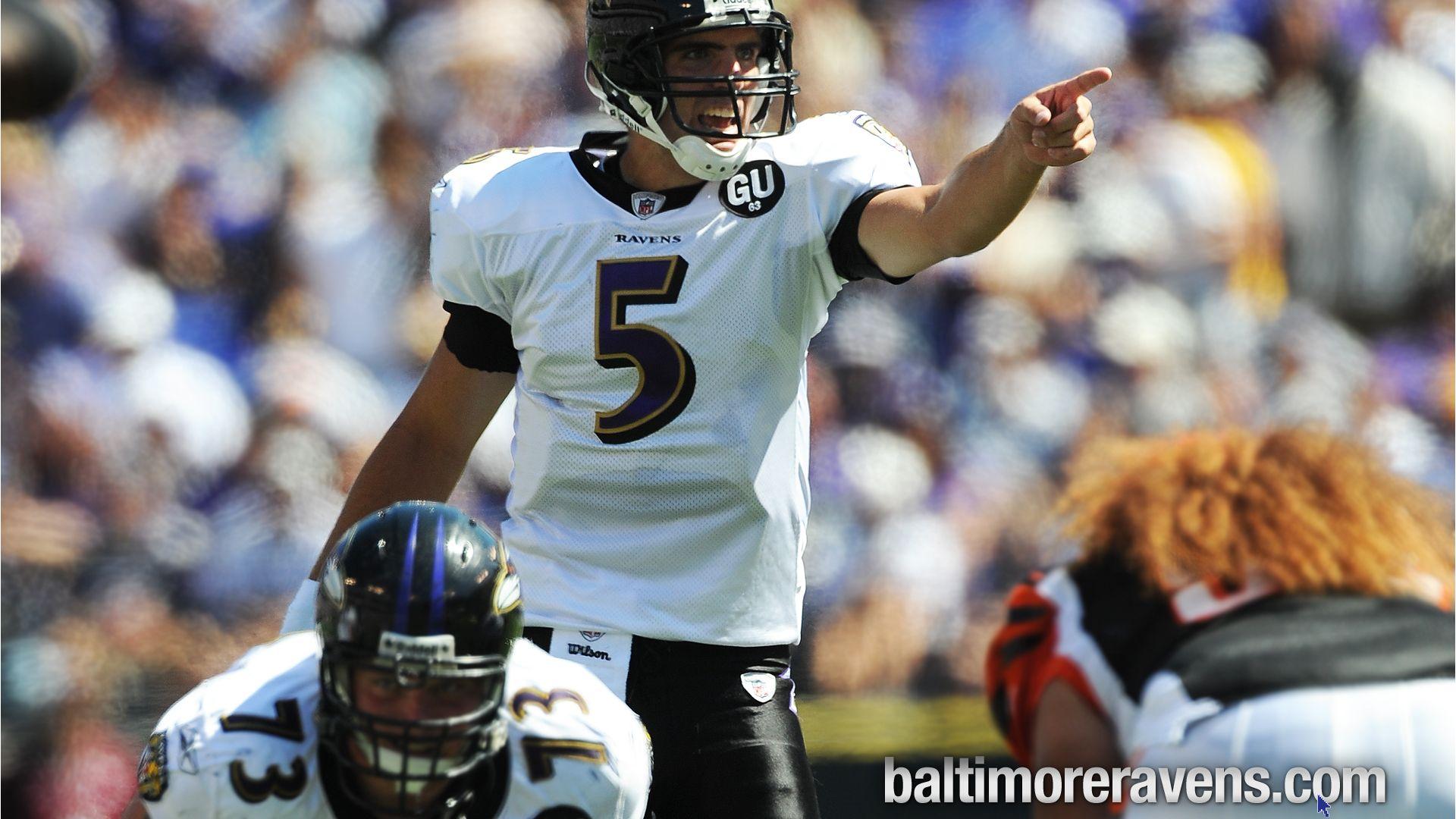 Baltimore Ravens / Nfl 1920x1080 HD Image