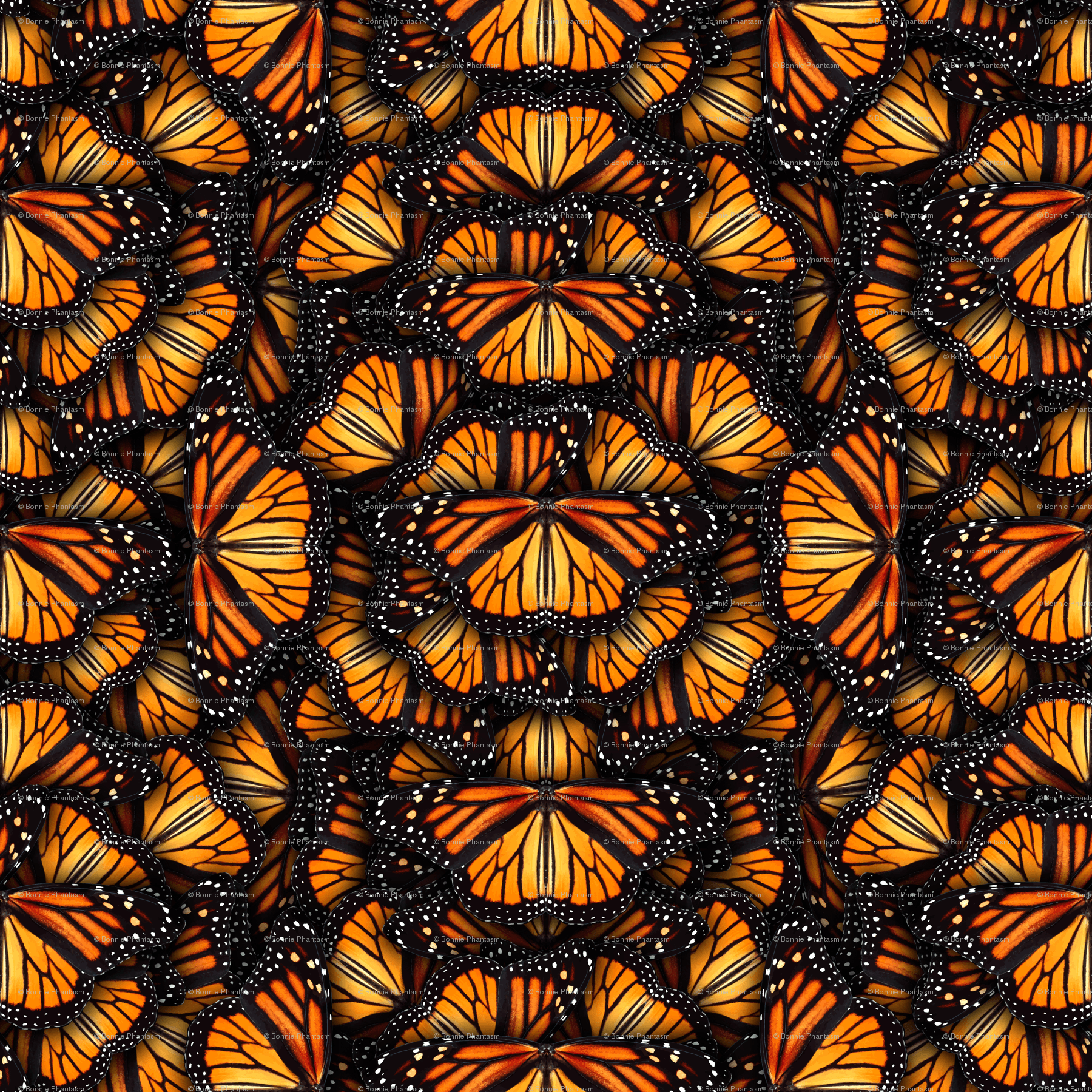 Heaps of Orange Monarch Butterflies wallpaper