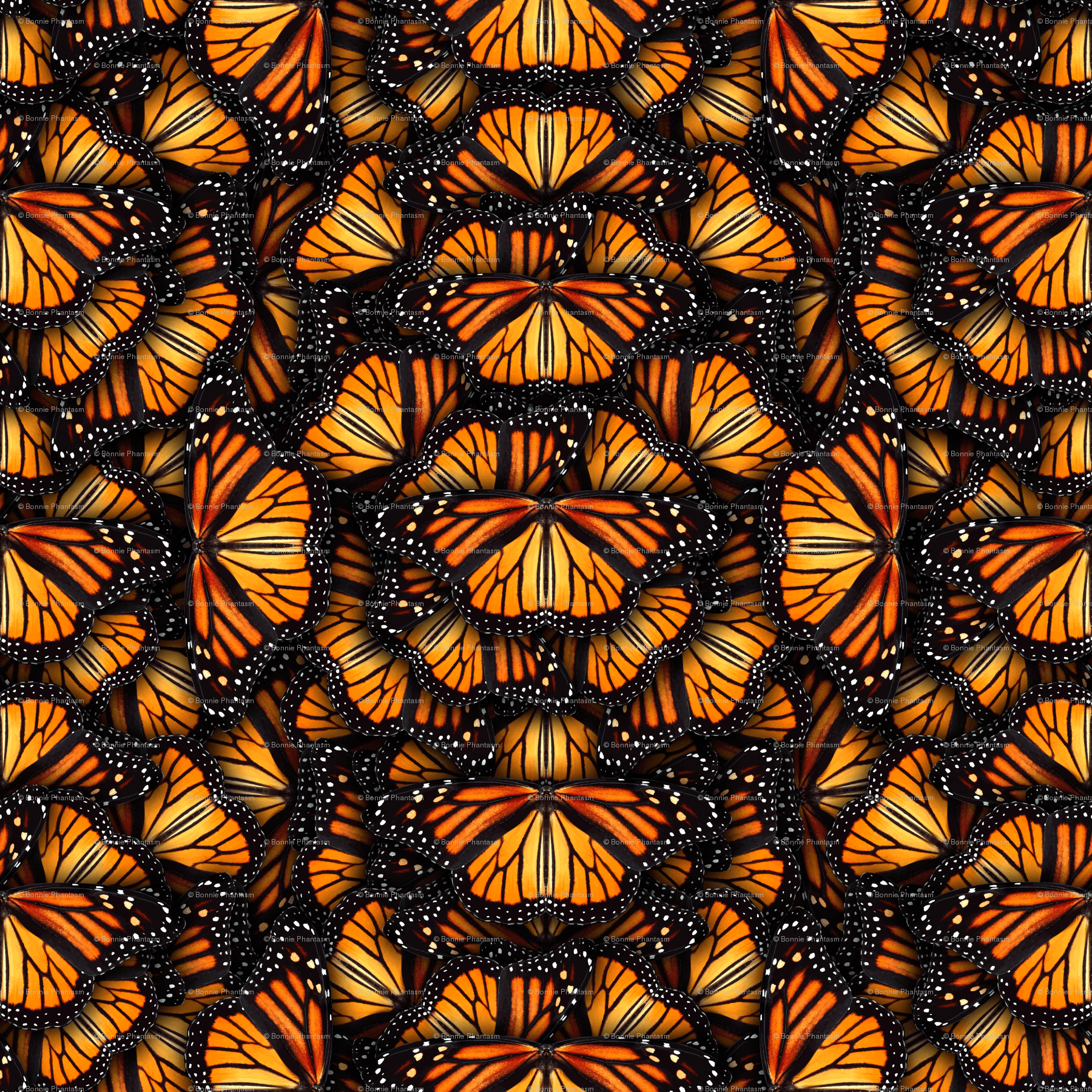 Monarch Butterfly Wallpapers - Wallpaper Cave