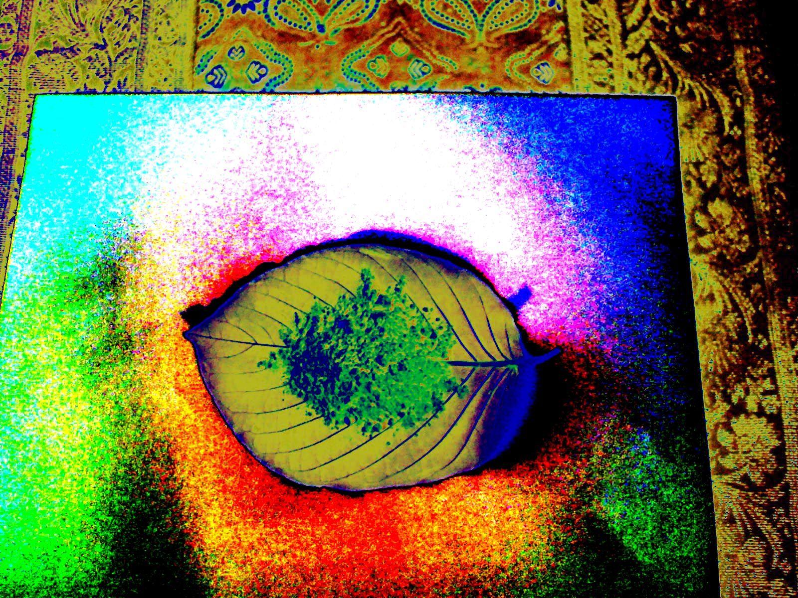 Kratom Wallpapers - Wallpaper Cave