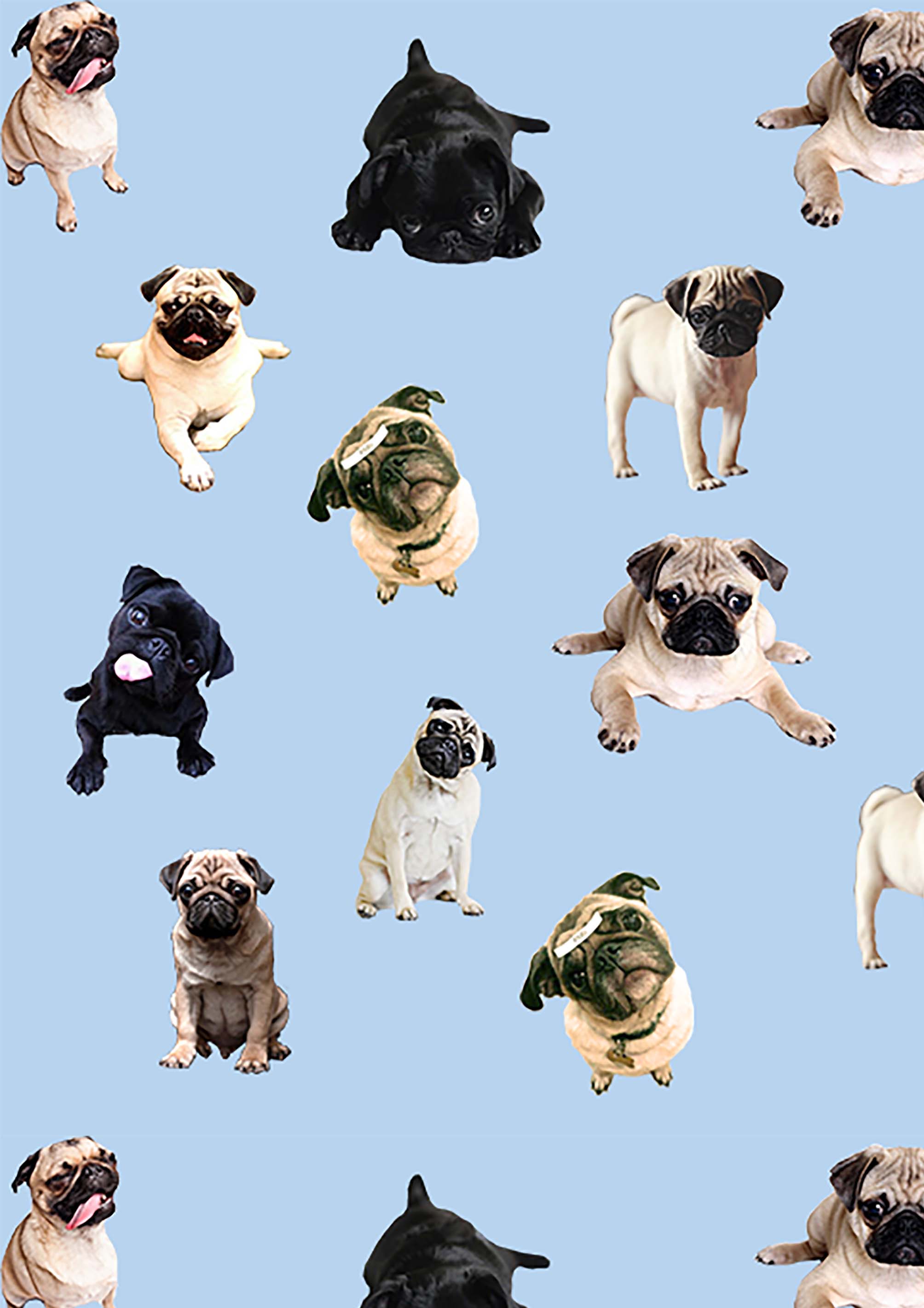 Pug Commission Phone Wallpaper by CreepyClassic on DeviantArt