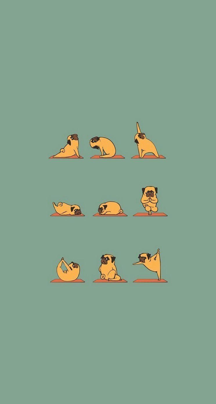 Funny Pug Doing Yoga iPhone se Wallpaper Download. iPhone