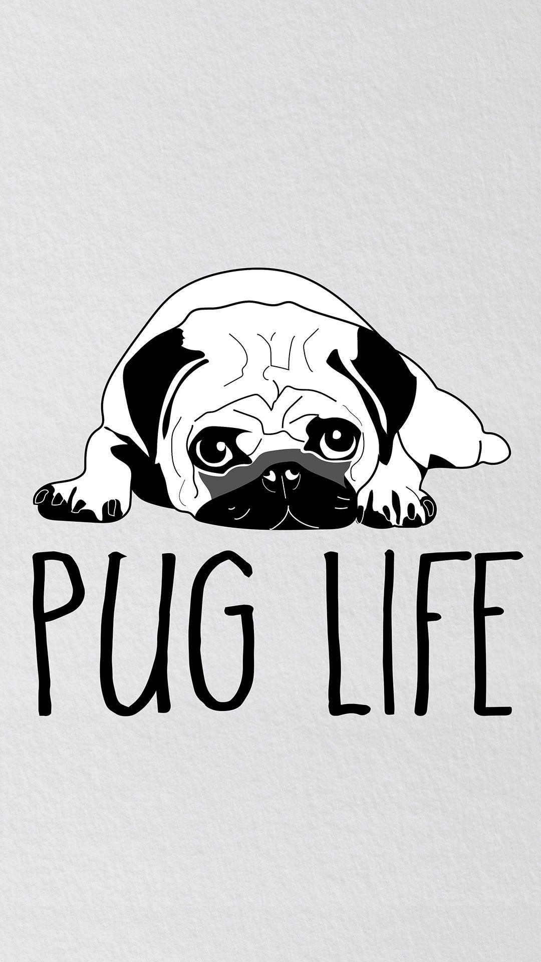 Phone Wallpaper. Pug Life Pug Diary