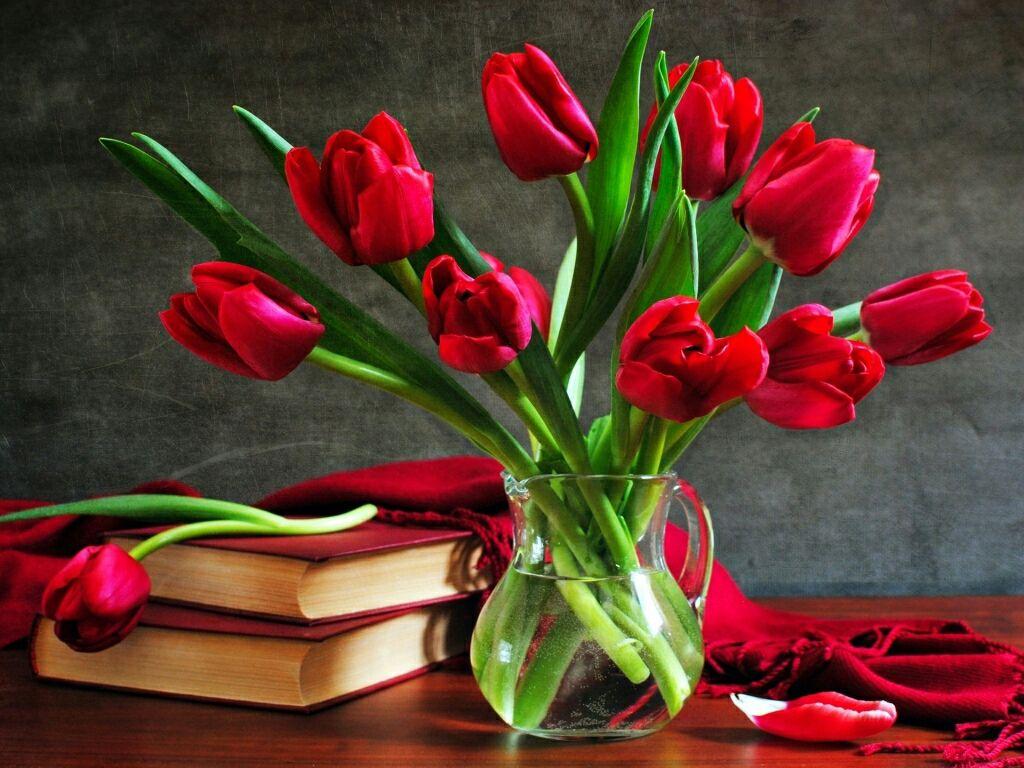 flowers for flower lovers.: Flowers wallpaper HD Rose desktop