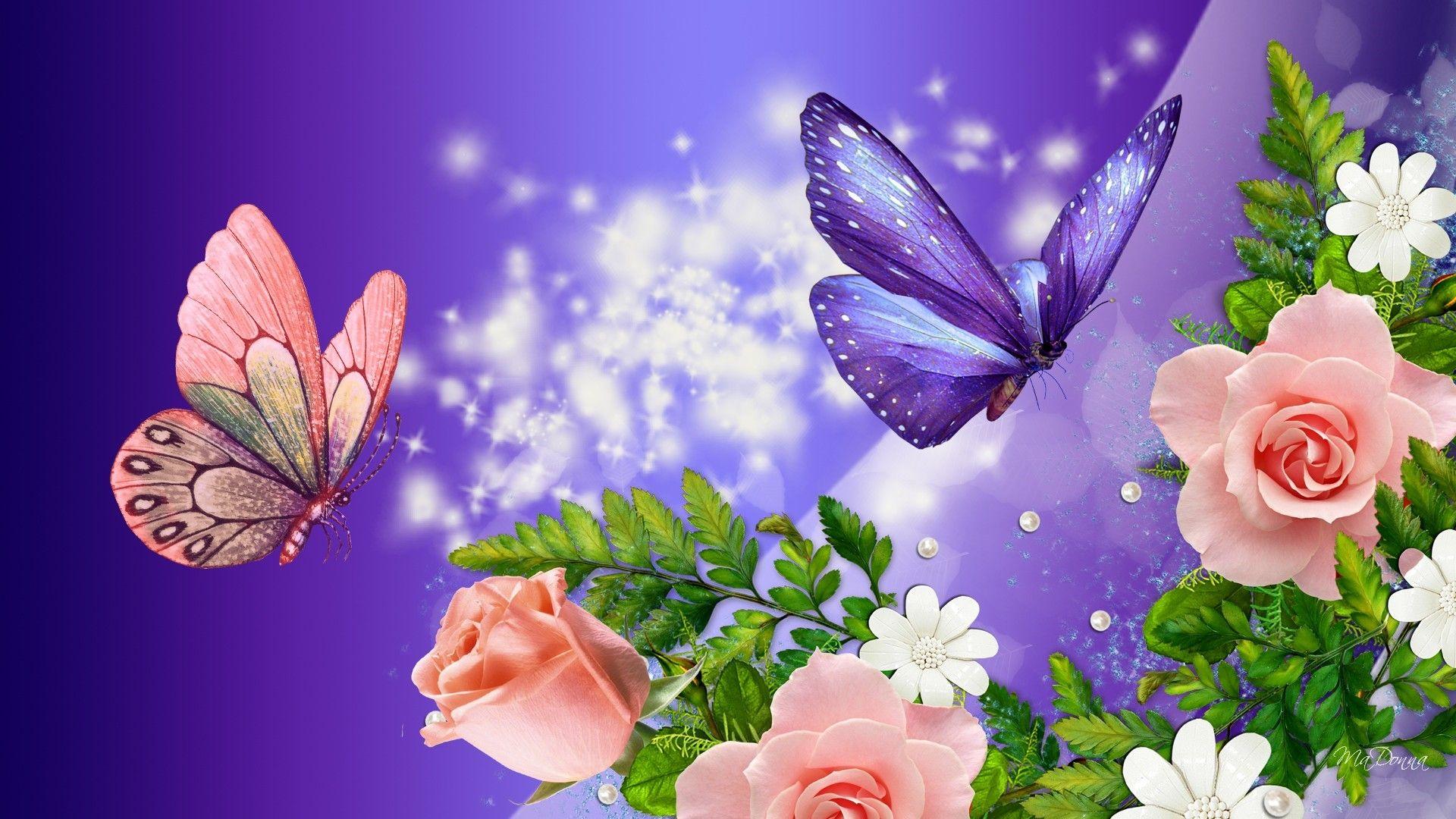 Desktop HD Nature Flower Rose Ilcom On Wallpaper Image