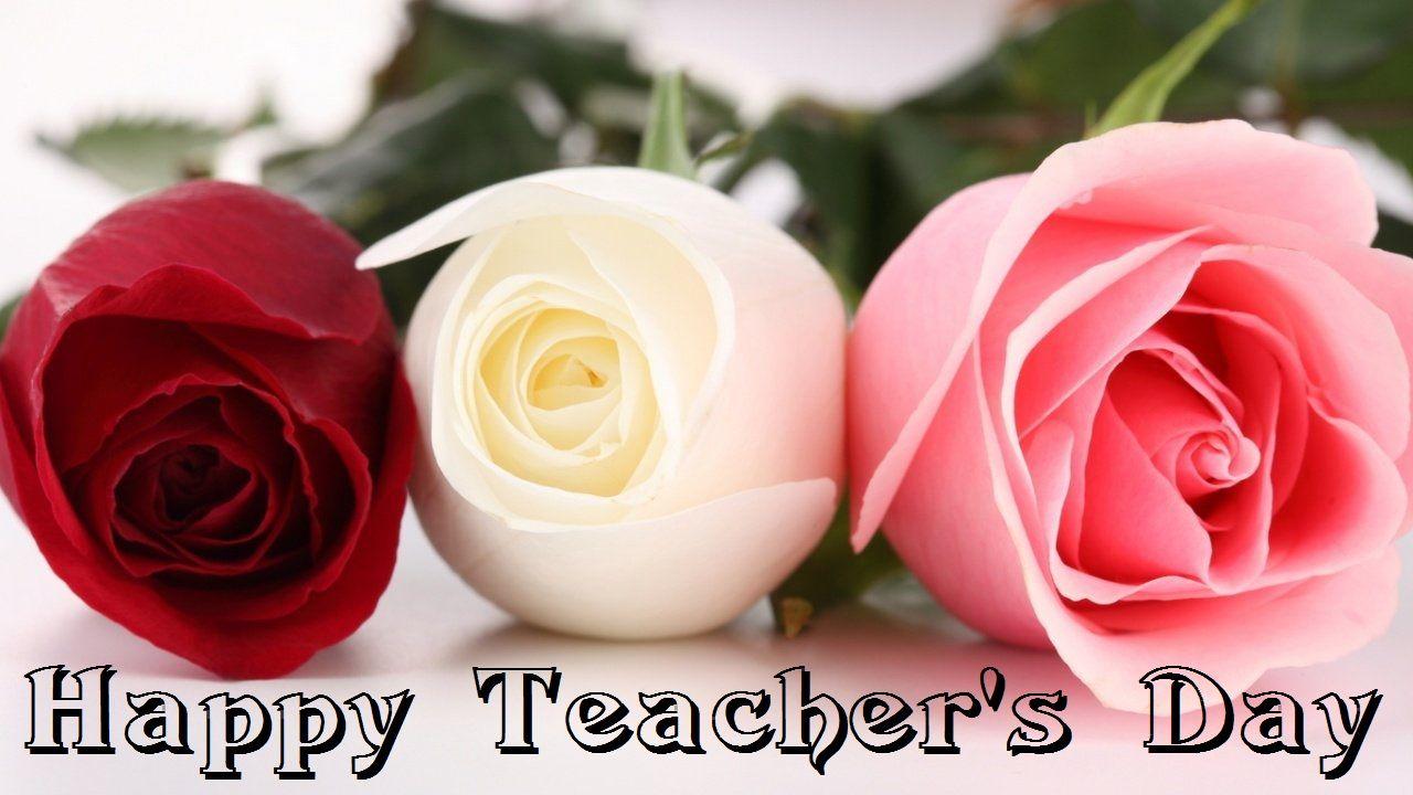 Happy Teachers Day Wishes Roses Flowers HD Wallpaper