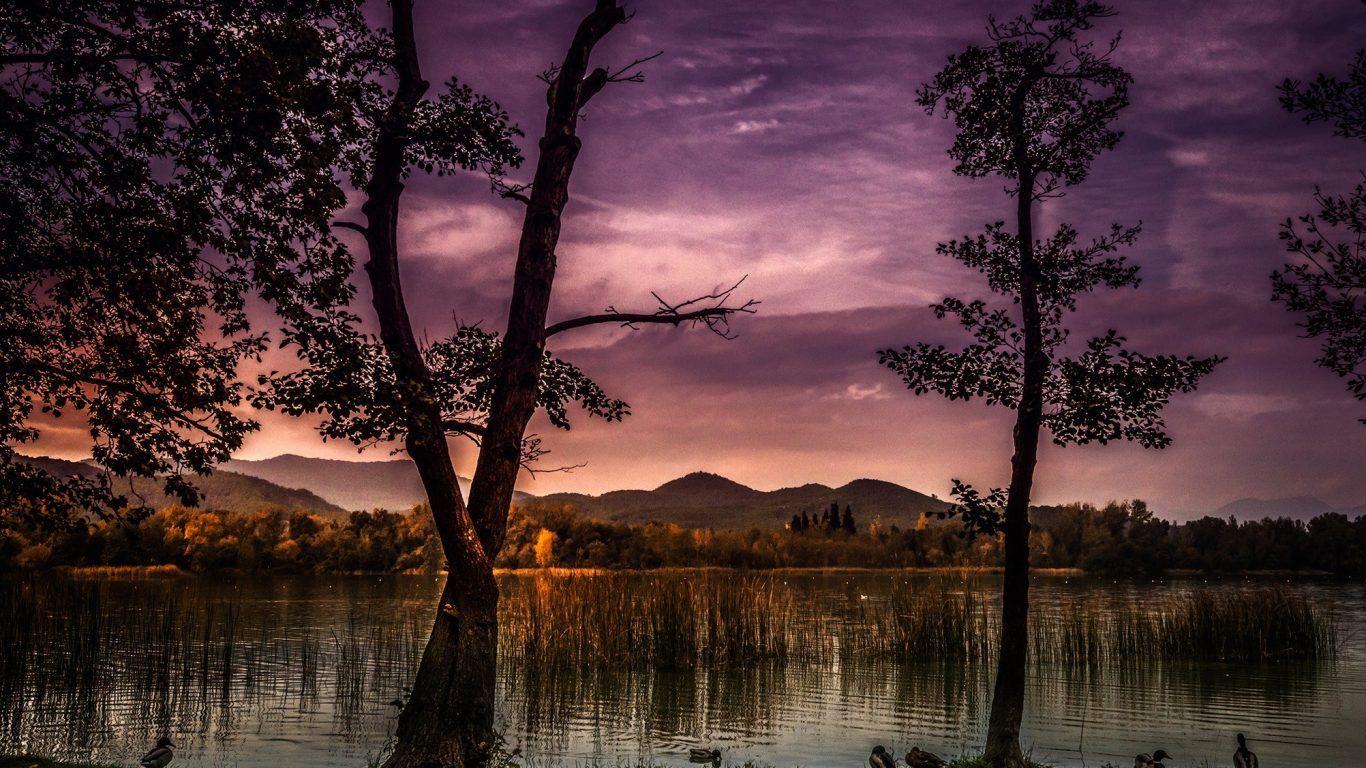 Lakes Lake Trees Nature Spain Catalonia 3D Animated Wallpaper