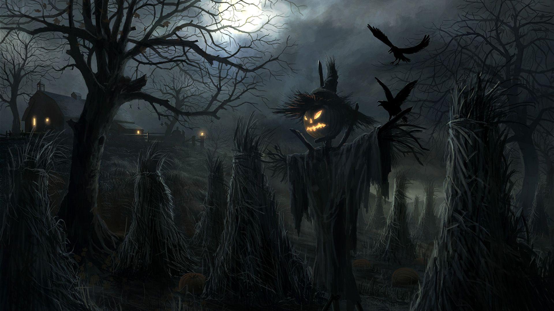halloween scarecrow holiday HD wallpaper