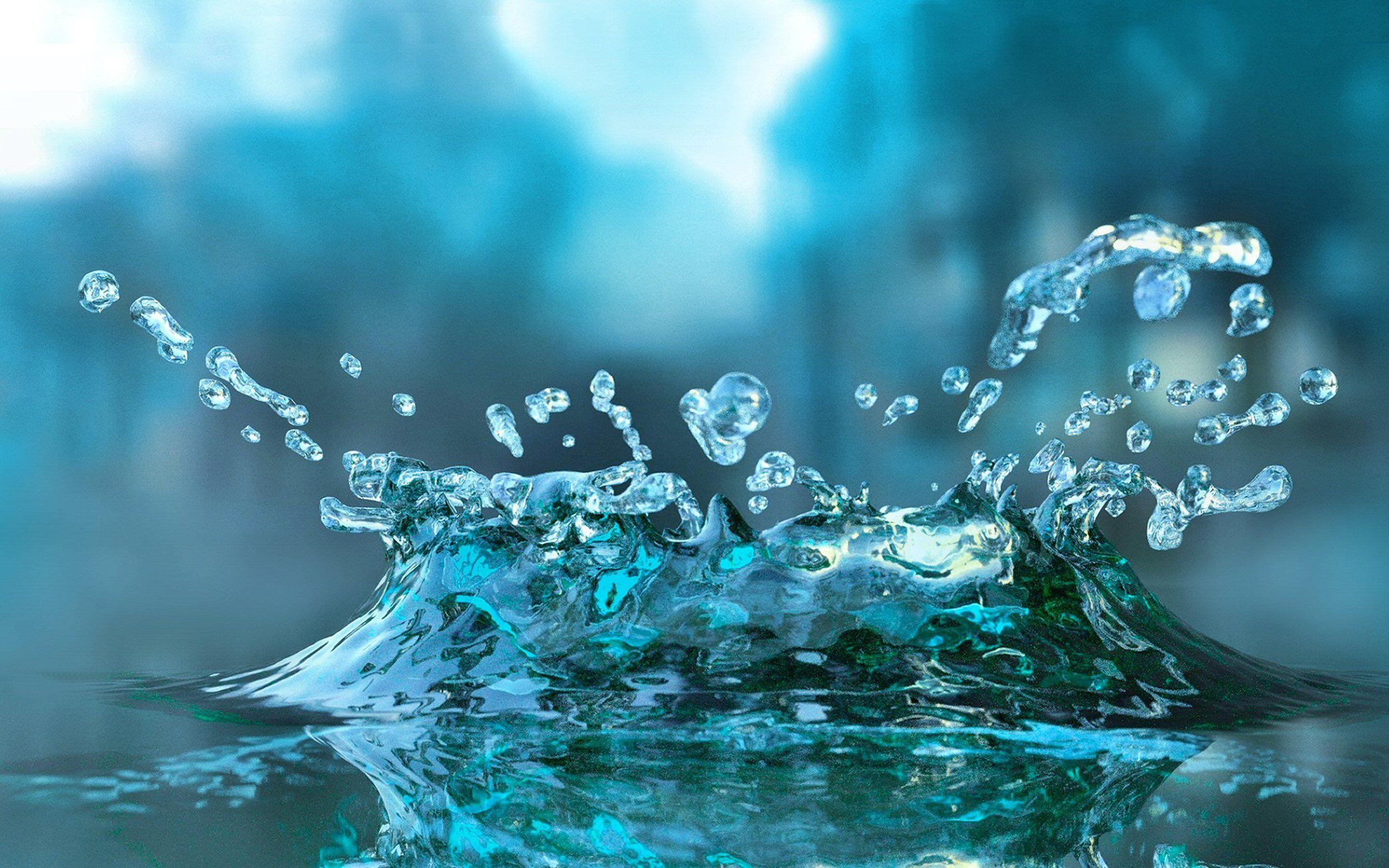 Desktop Water Drop Full HD Fish On Blue Green Nature Wallpaper