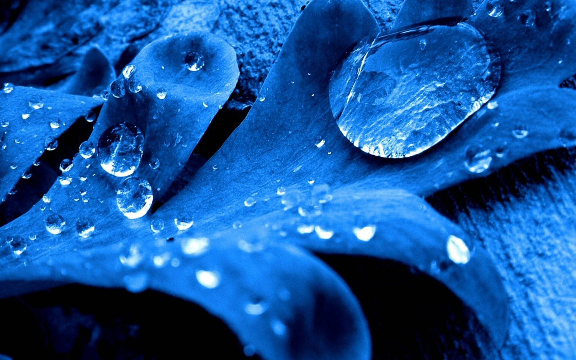 Blue Water Drops Wallpaper