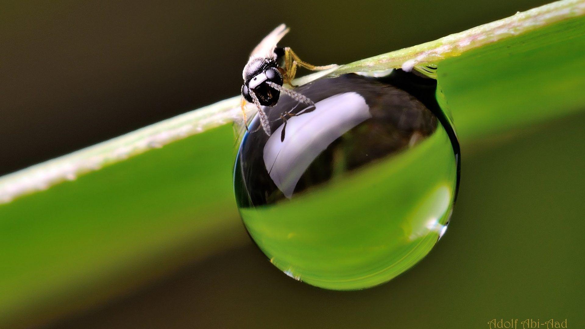 Water Tag wallpaper: Waterscapes Beautiful Ocean Sea