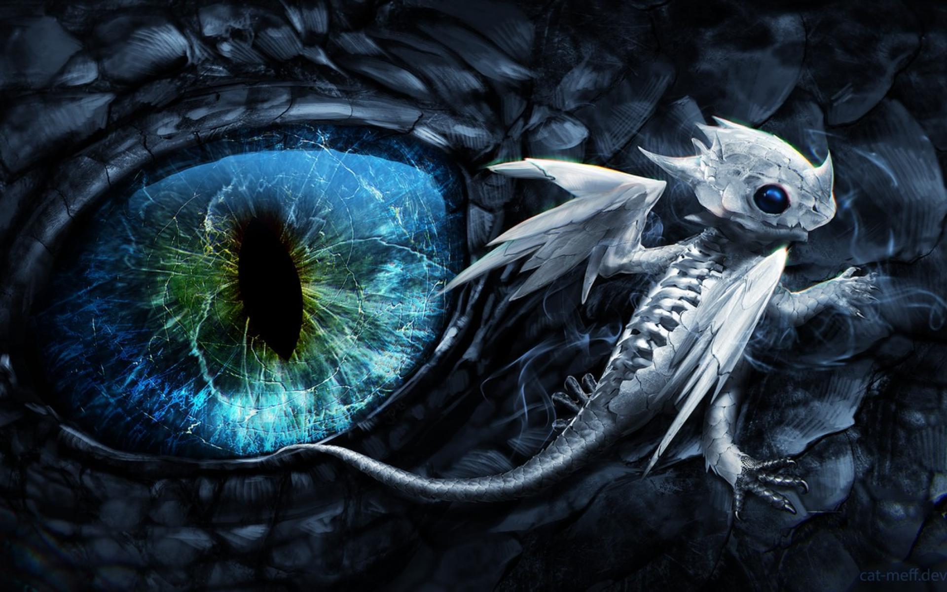 Baby black dragon blue eyes dark dragons wallpaper