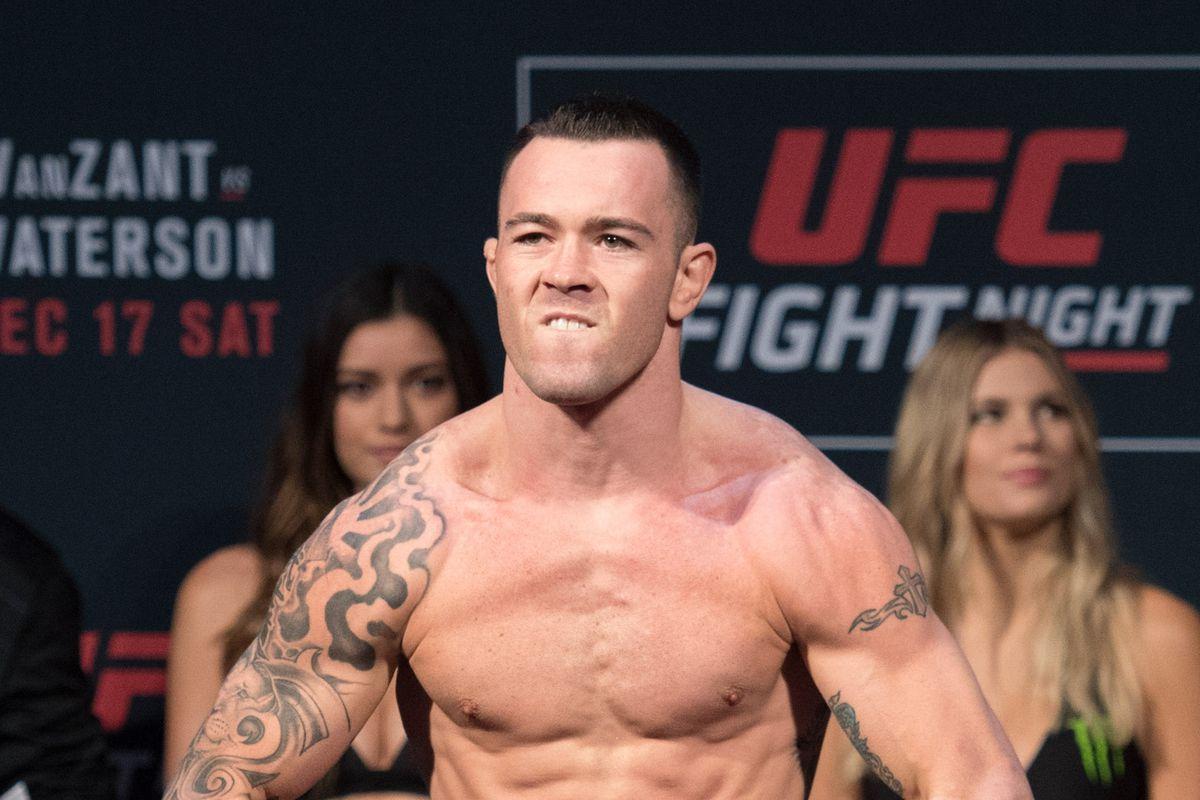 Colby covington hires stock photography and images  Alamy