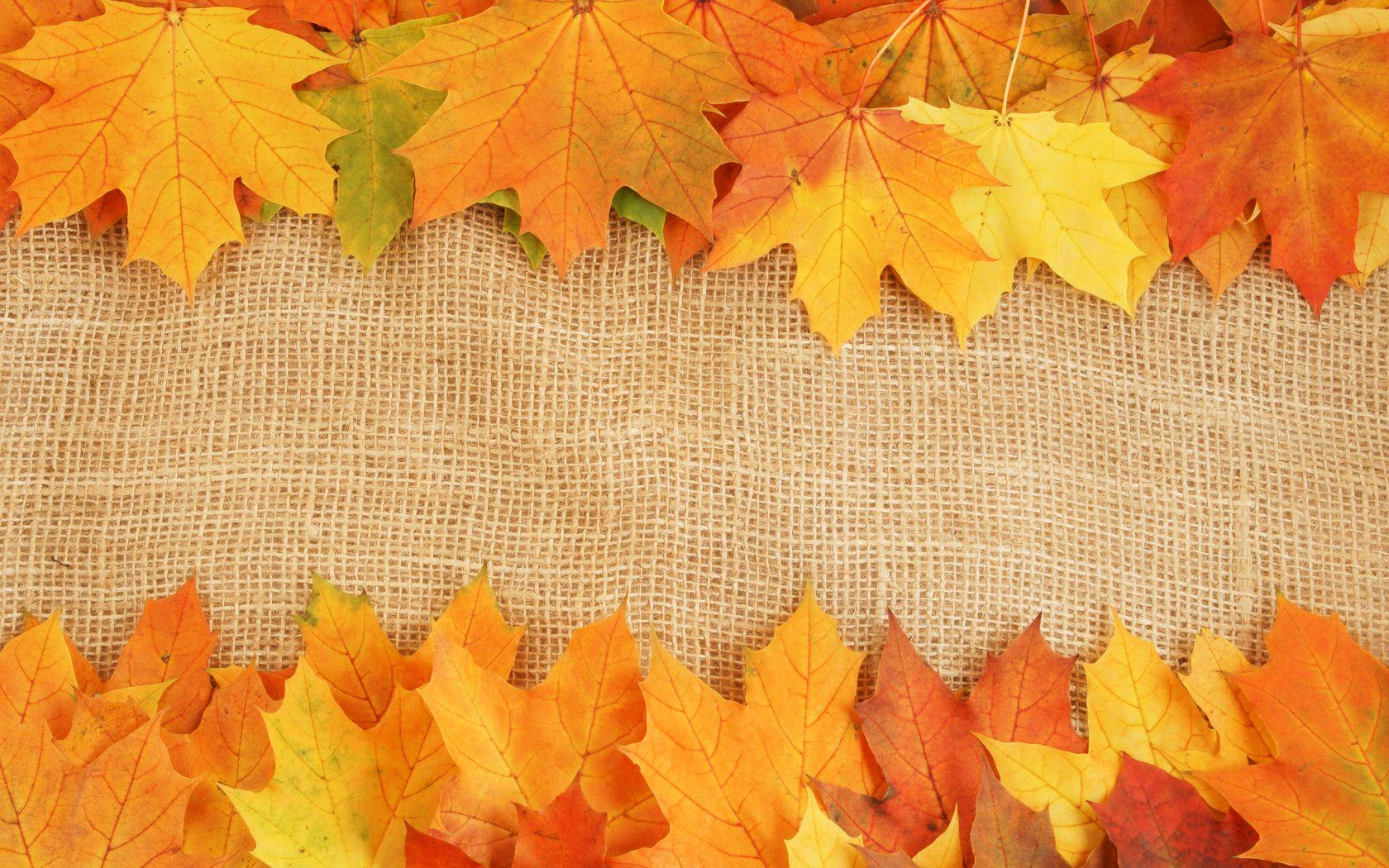 Autumn leaves textures, download photo, background, background