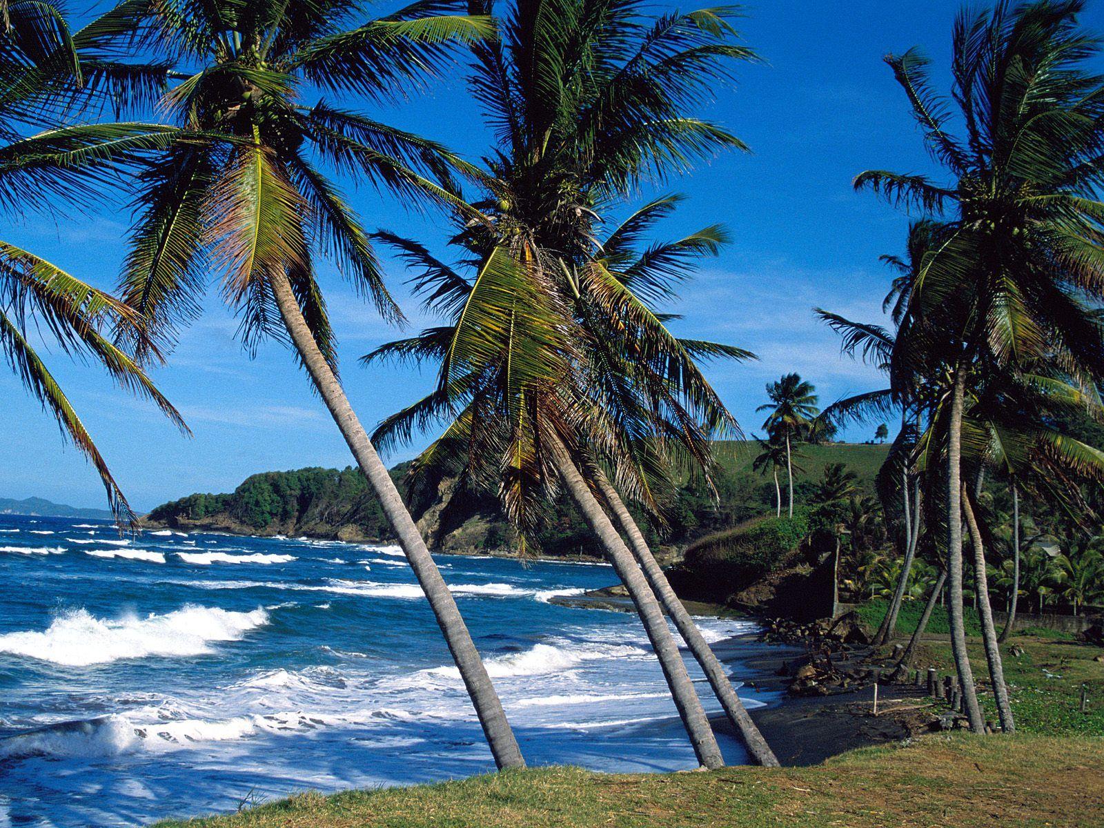 Summer Waves St Lucia HD Wallpaper