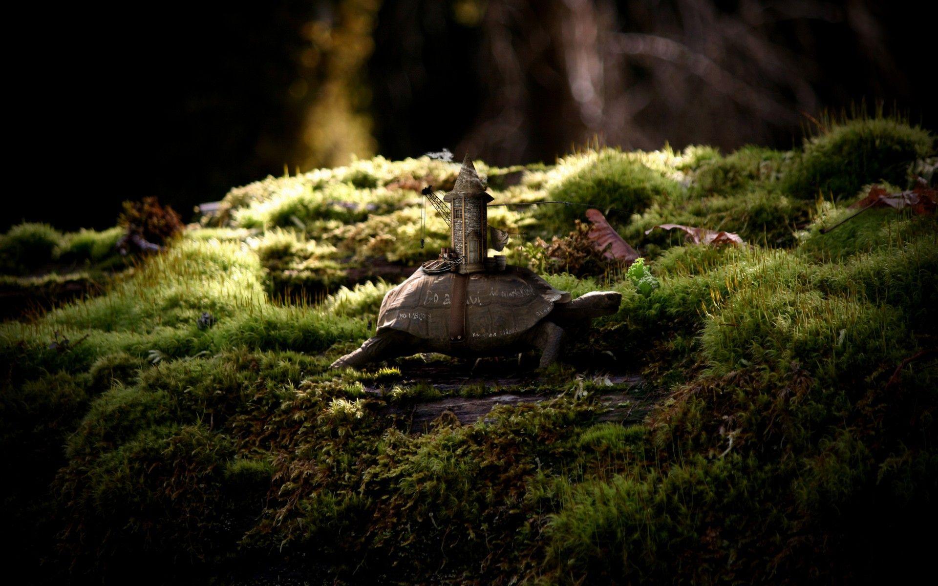 nature, tower, turtles, fantasy art, miniature, moss, tortoises