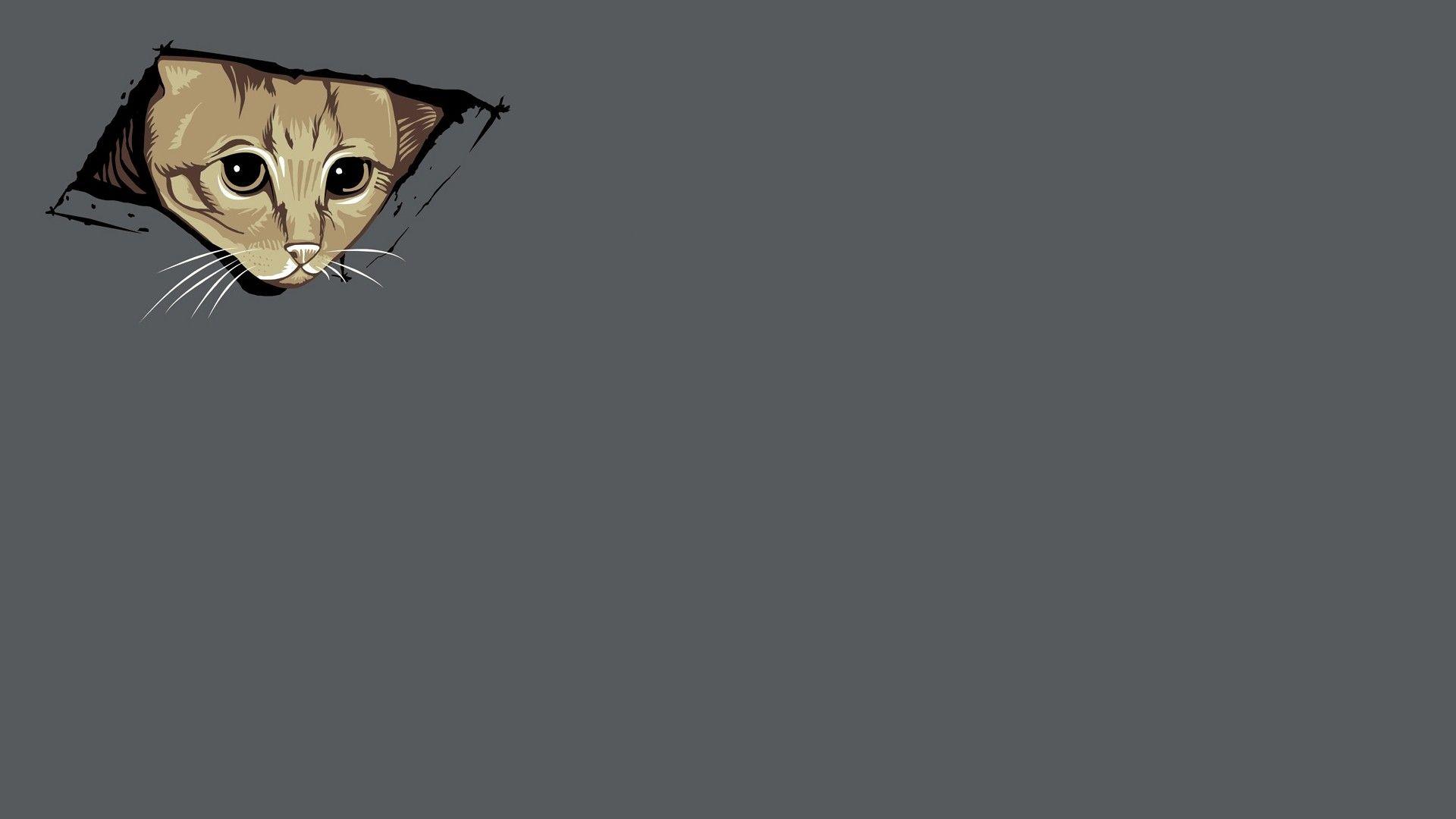 abstract, cats, kittens, Ceiling Cat, simplistic, simple wallpaper