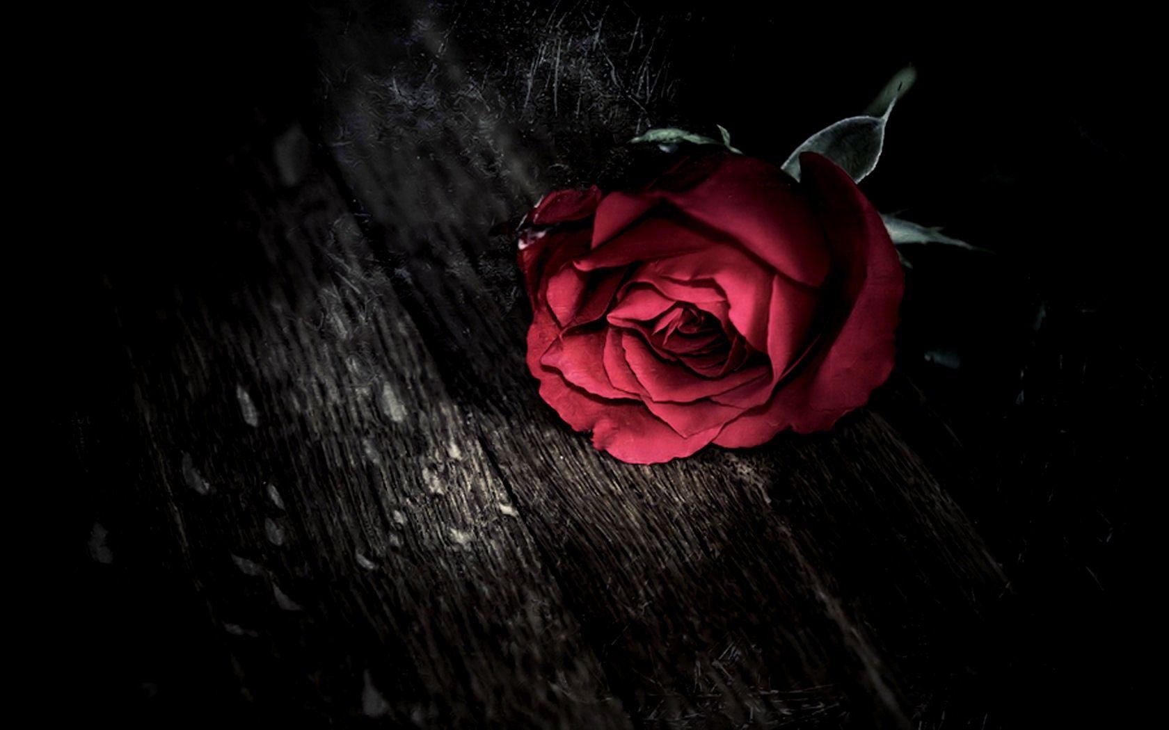 Dark gothic holidays valentine&;s day roses mood wallpaper