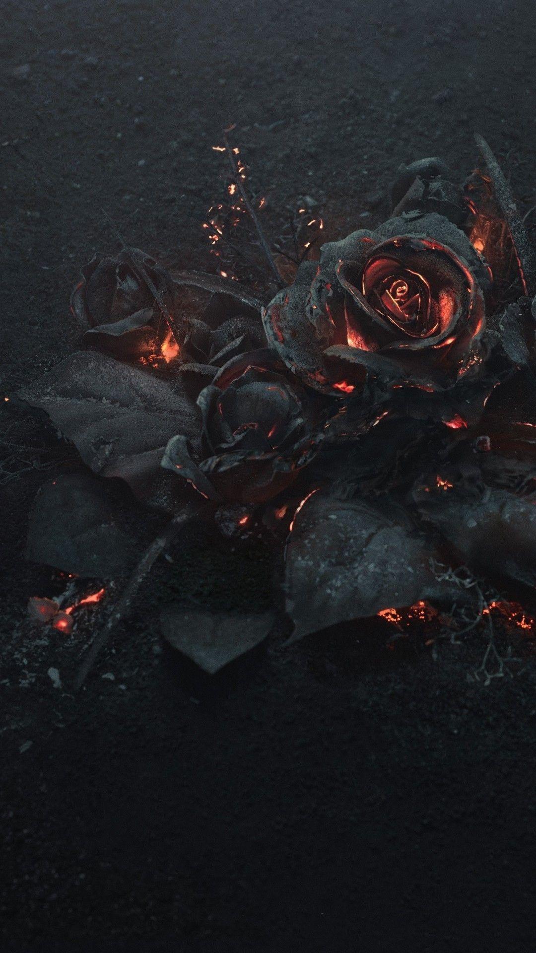 Black Rose iPhone Wallpaper