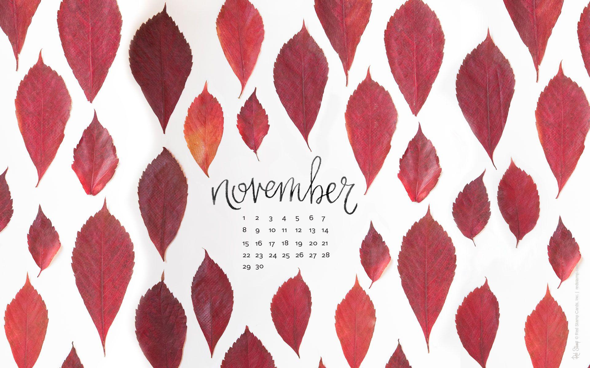 Computerkleider Desktop Wallpaper im November. November