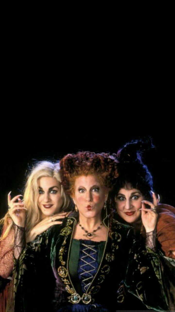 Hocus Pocus halloween trick or treat witches HD phone wallpaper  Peakpx