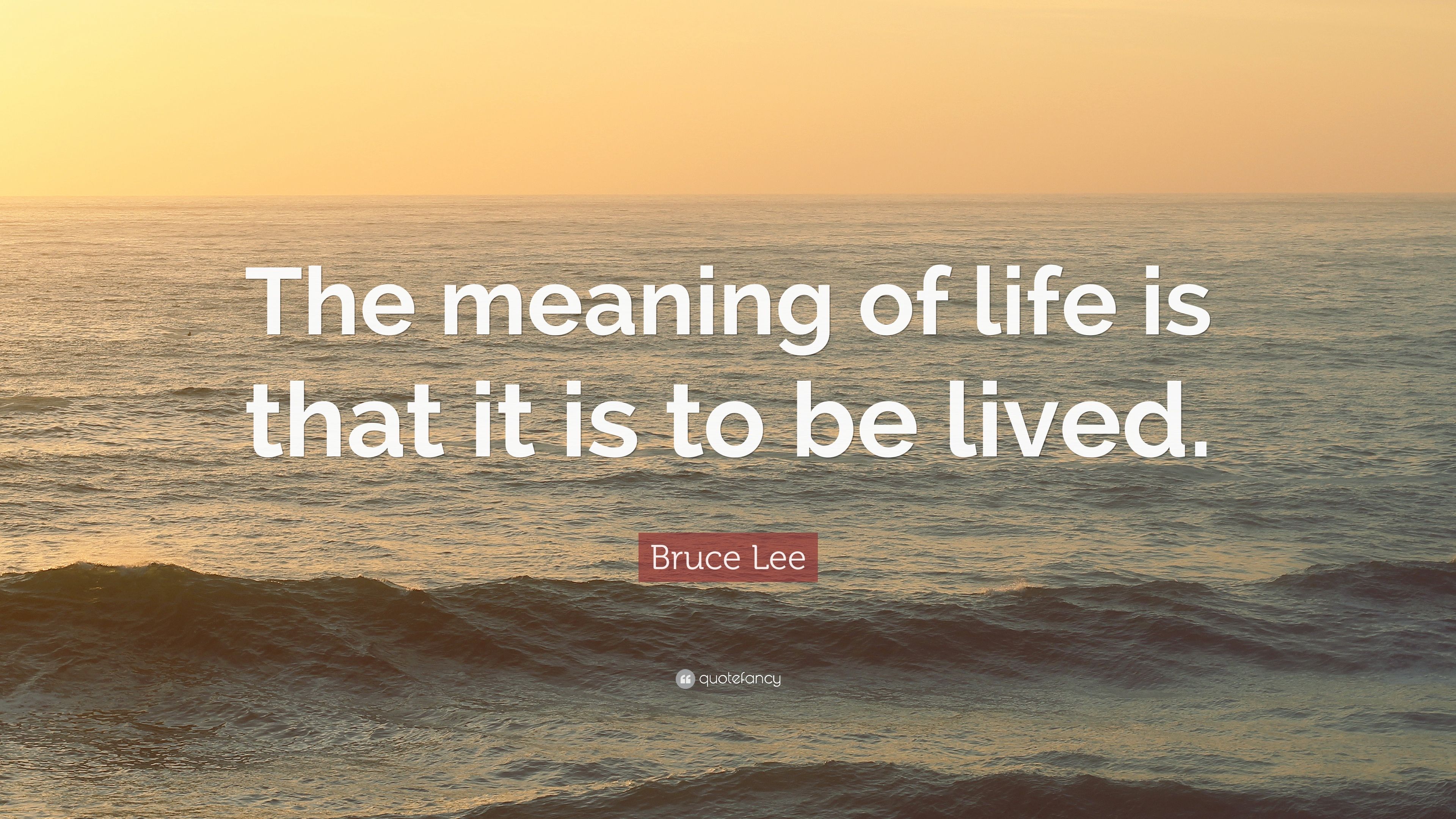 meaning of life