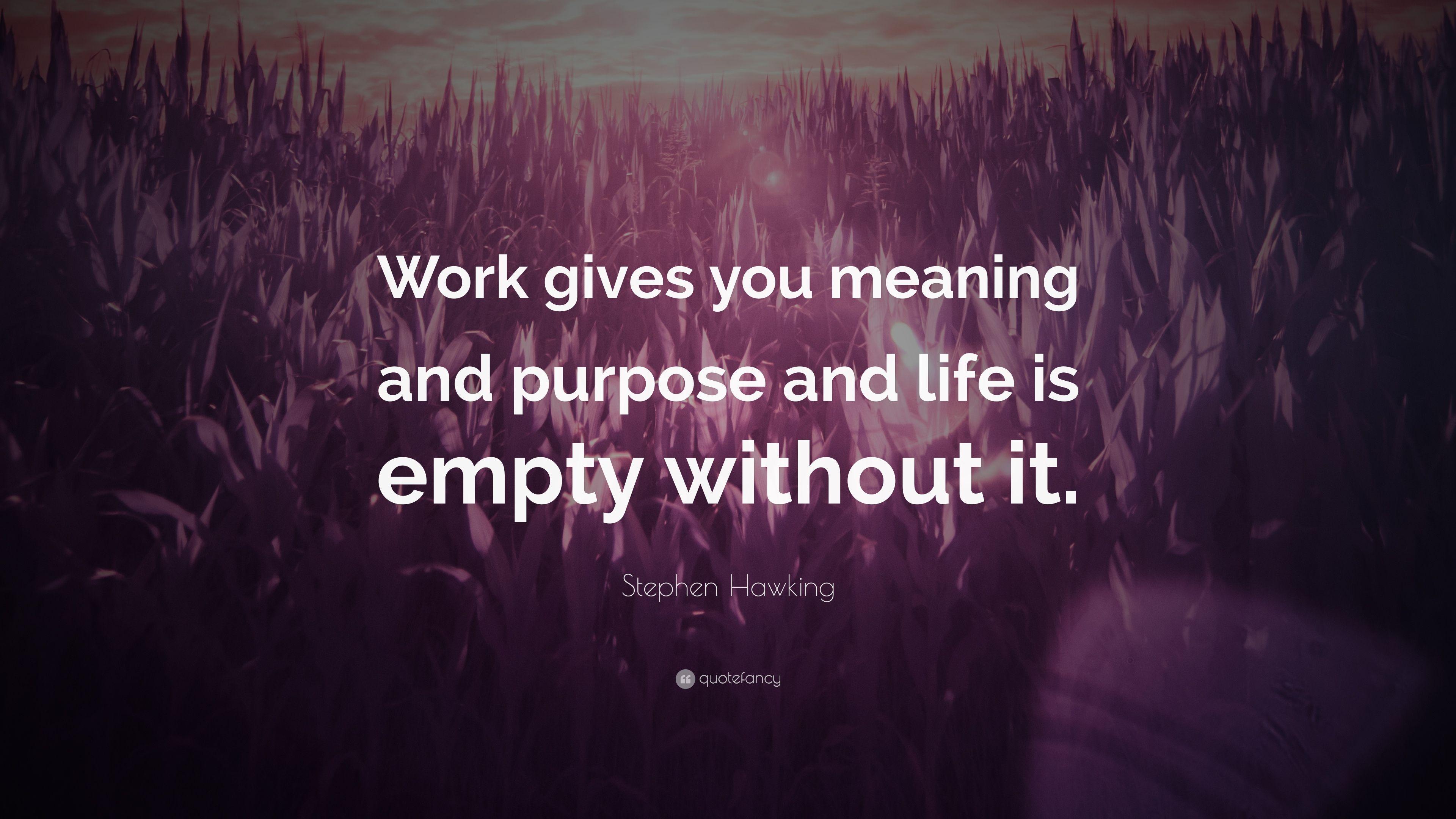 Stephen Hawking Quote: “Work gives you meaning and purpose