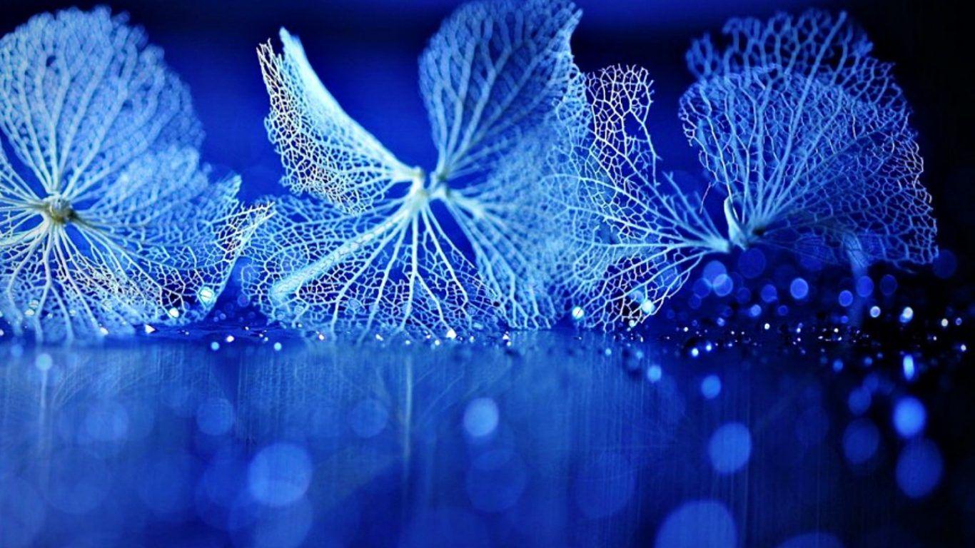 Wallpaper Tagged With Glitter: Glitter Glow Forest Winter Snow