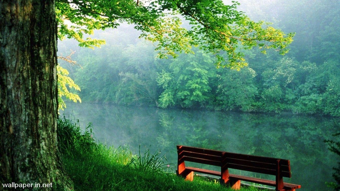 Nature HD Wallpaper Free Download