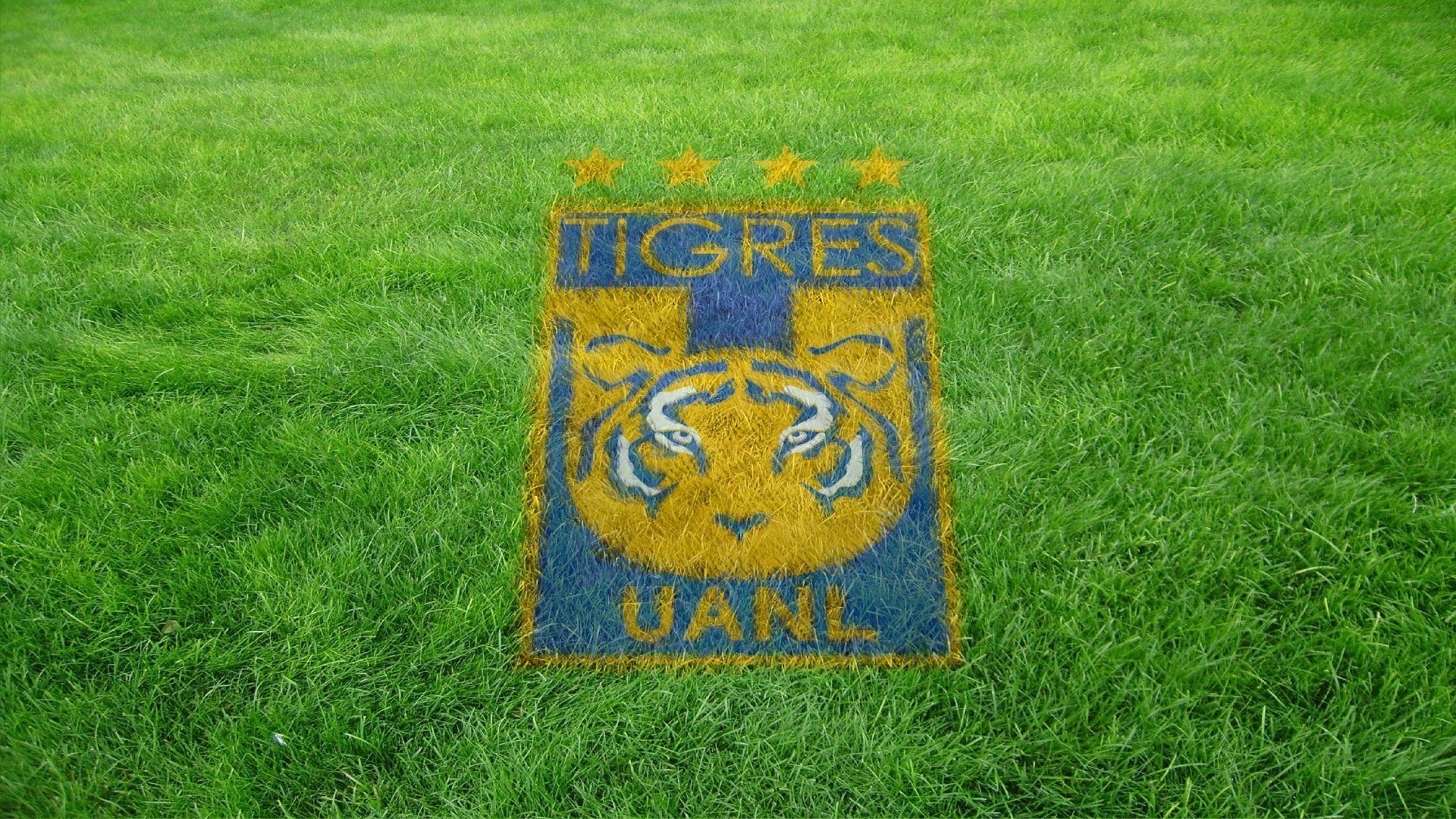 Escudo de Tigres U.A.N.L. Campo de Juego (Wallpaper) 2016. Tigres