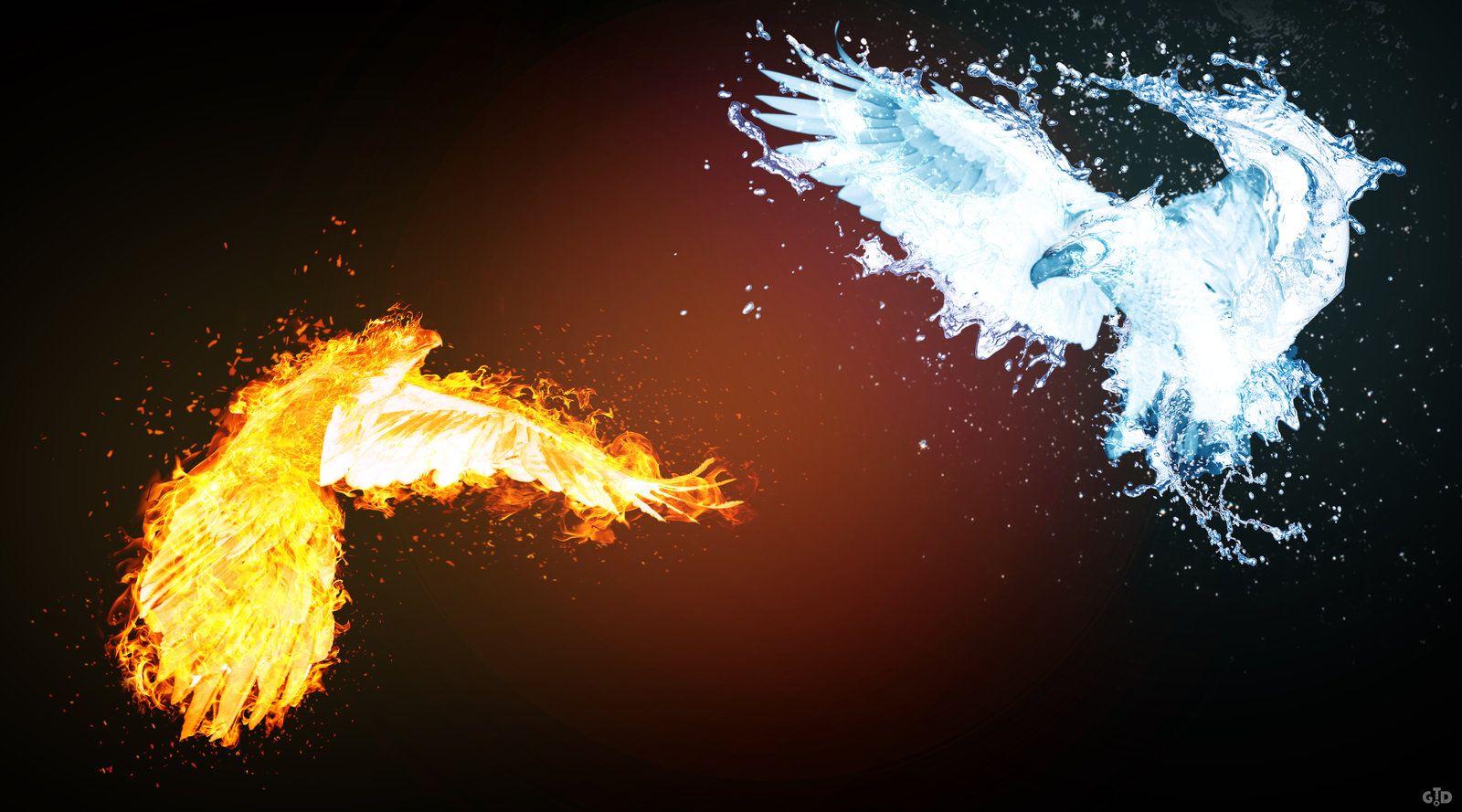 Eagle Fire vs Water by Groltard.