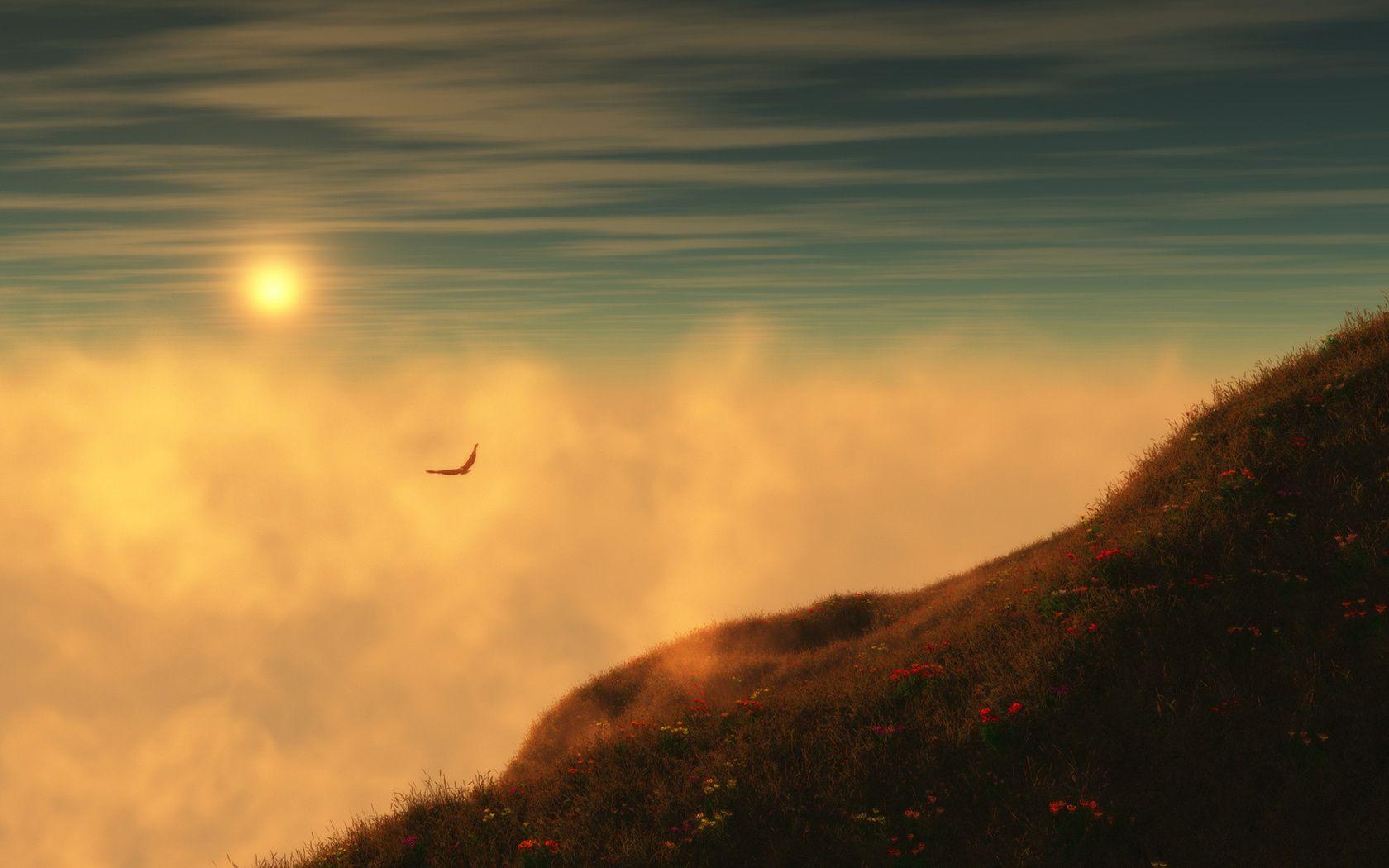 Tranquil Wallpaper and Backgroundx1050