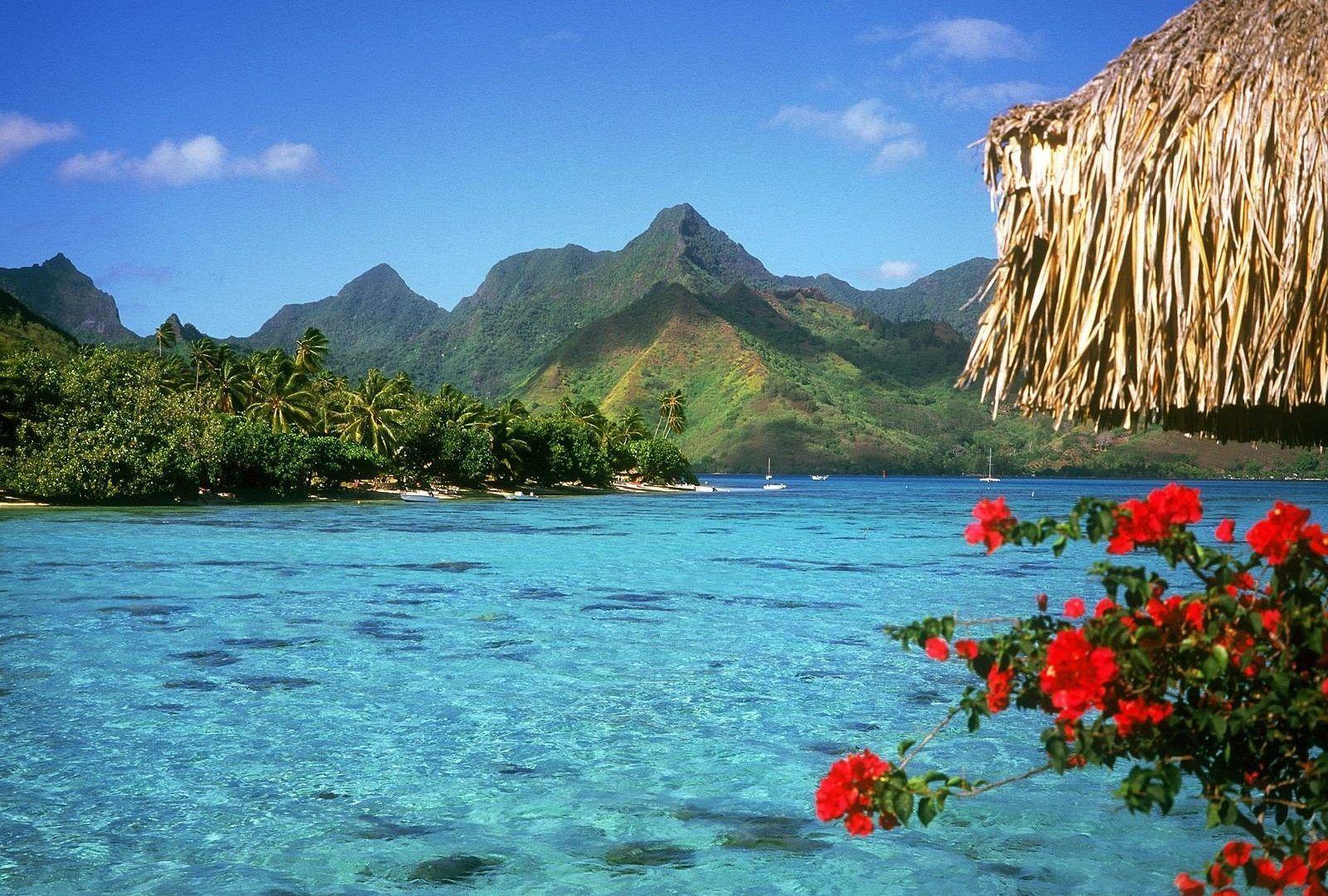 Beaches: French Polynesia Bora Tranquil Lagoon Island Best Nature