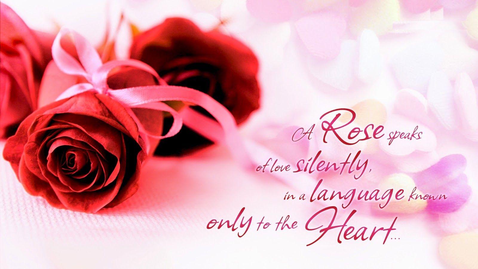 Beautiful love quotes for her with rose flower image