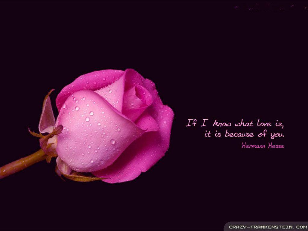 Romantic Love Quotes 41 Widescreen Wallpaper