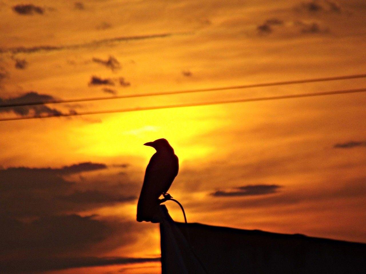 Sunsets wallpaper: Sad Sunset New Sky Mounatins Pink