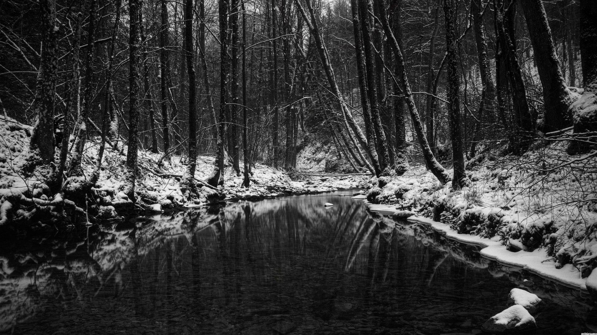 Black And White Nature Background 272584
