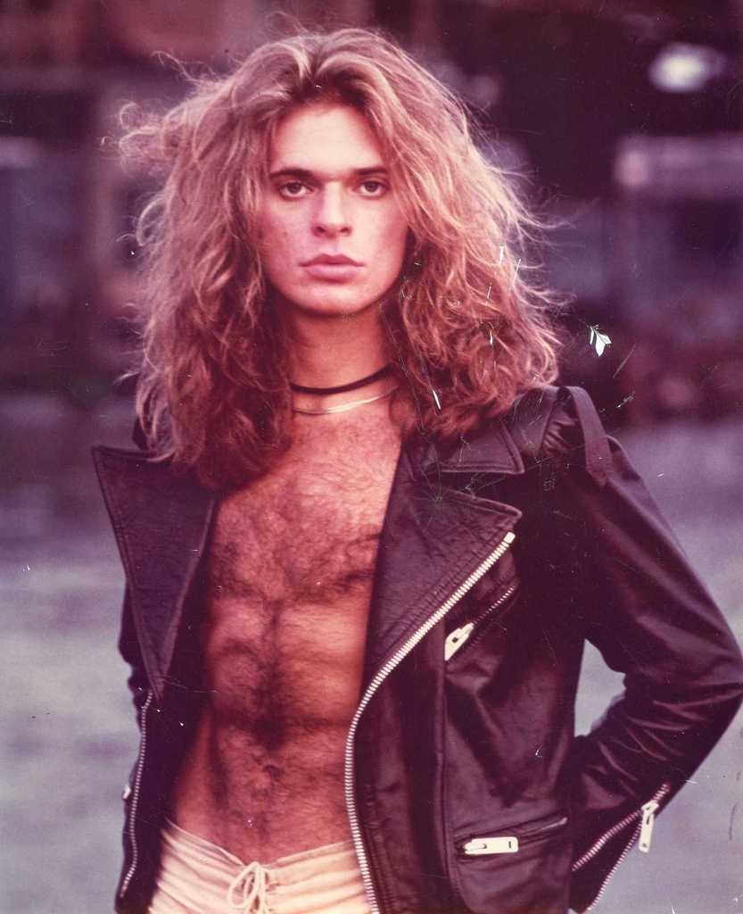 833x1024px 61.12 KB David Lee Roth tophdimgs.com