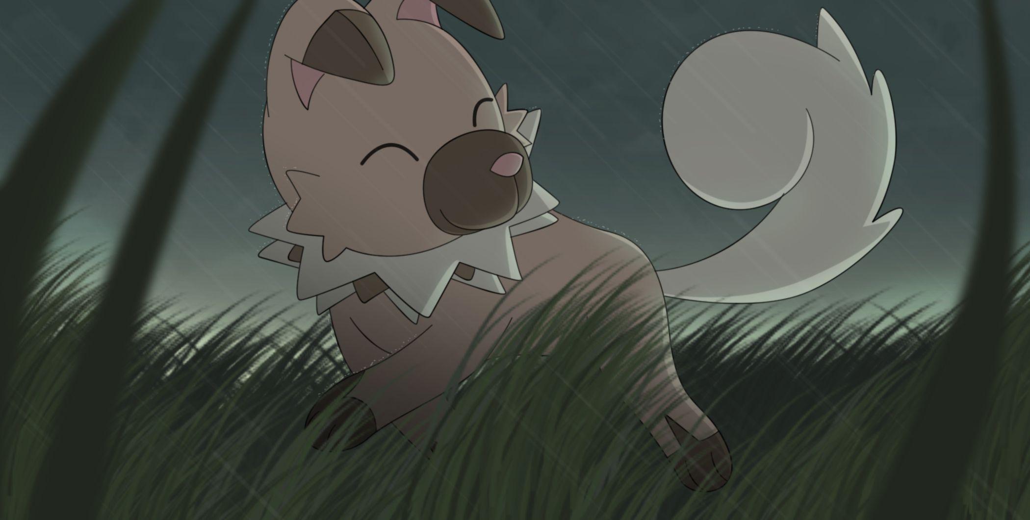Rockruff (Pokémon) HD Wallpaper and Background Image