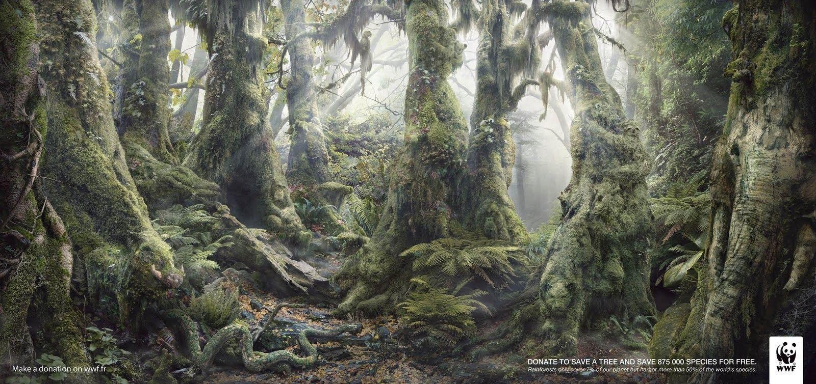 Forest: Animal Trees Hidden Moss Botanimal Animals Idden Wallpaper