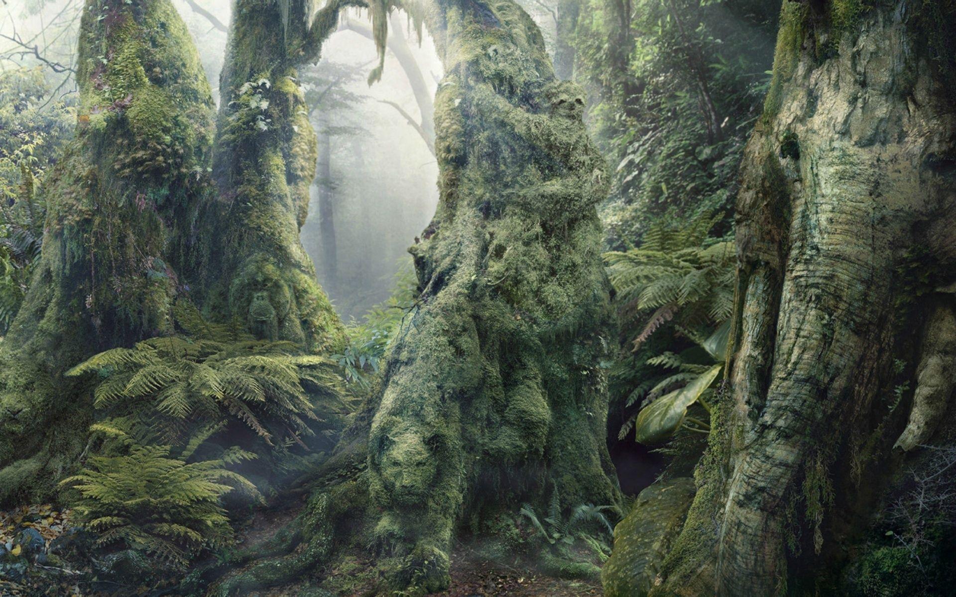 3D, Optical Illusion, Rainforest, 3D The Rainforest Of