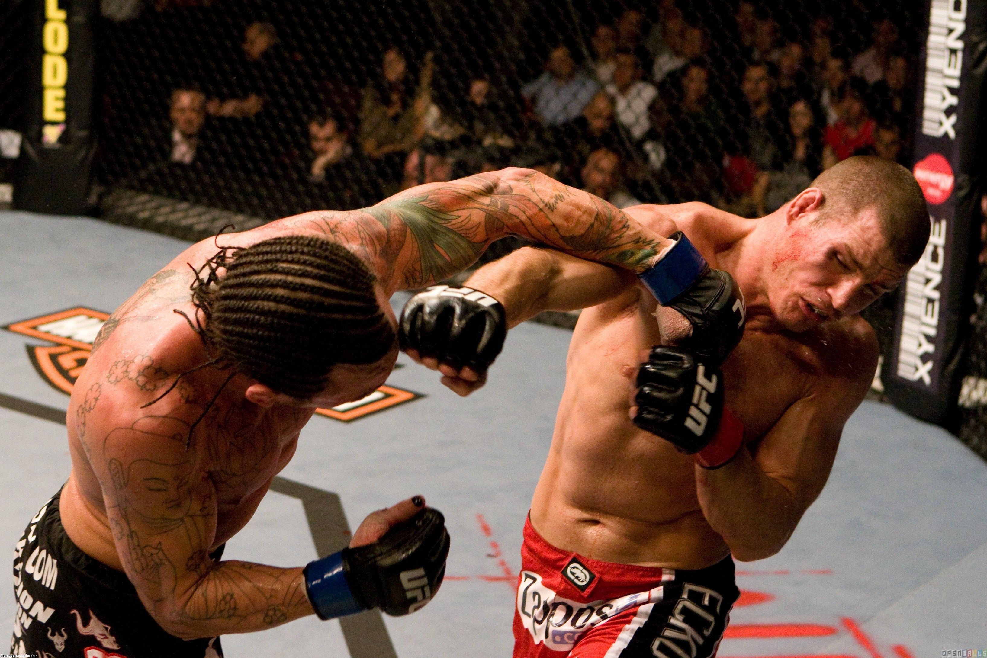 Ufc 89 bisping vs. chris leben wallpaper