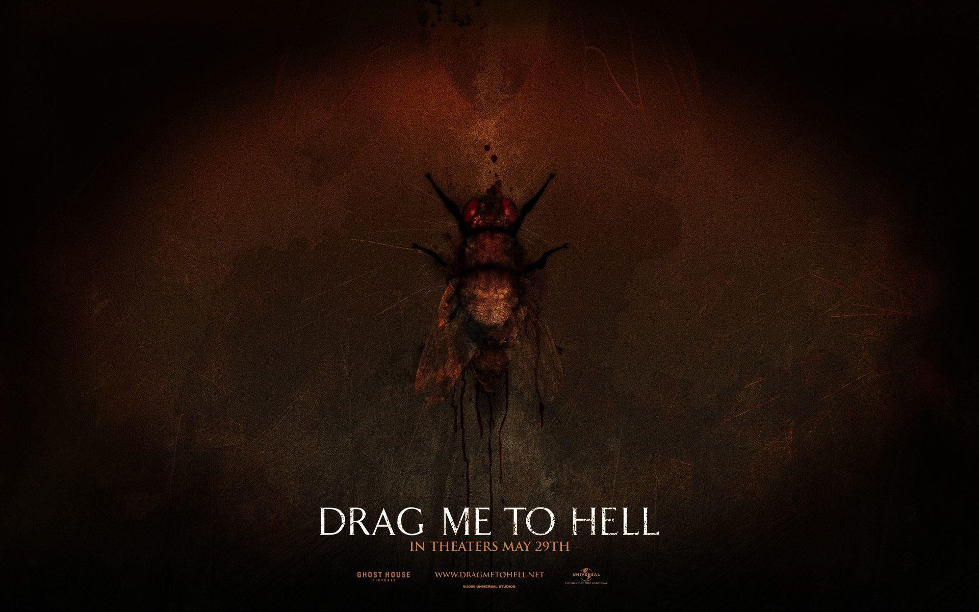 Download the Possessed Fly Wallpaper, Possessed Fly iPhone