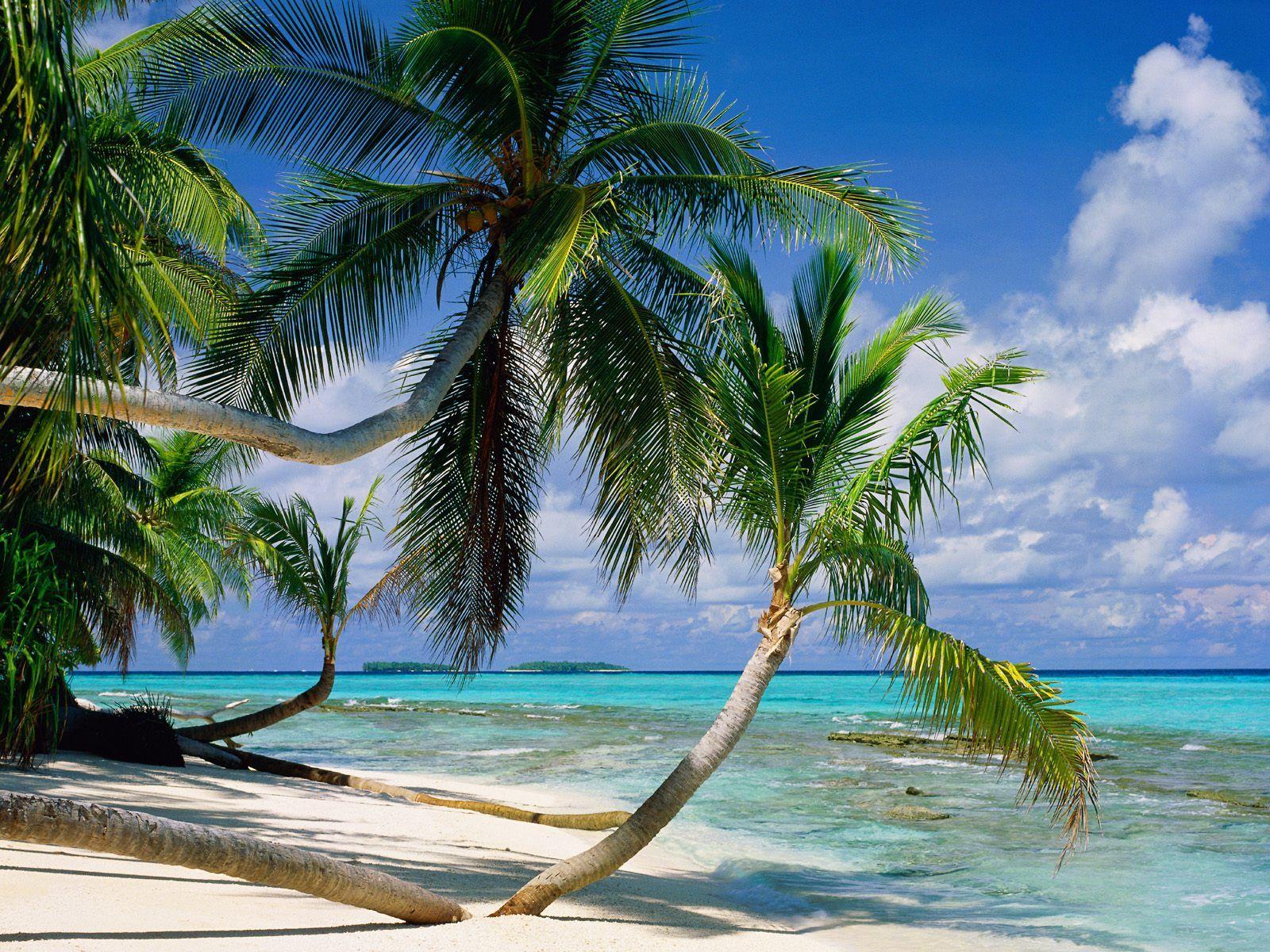 Tepuka Island in Tuvalu. White sands, turquoise water