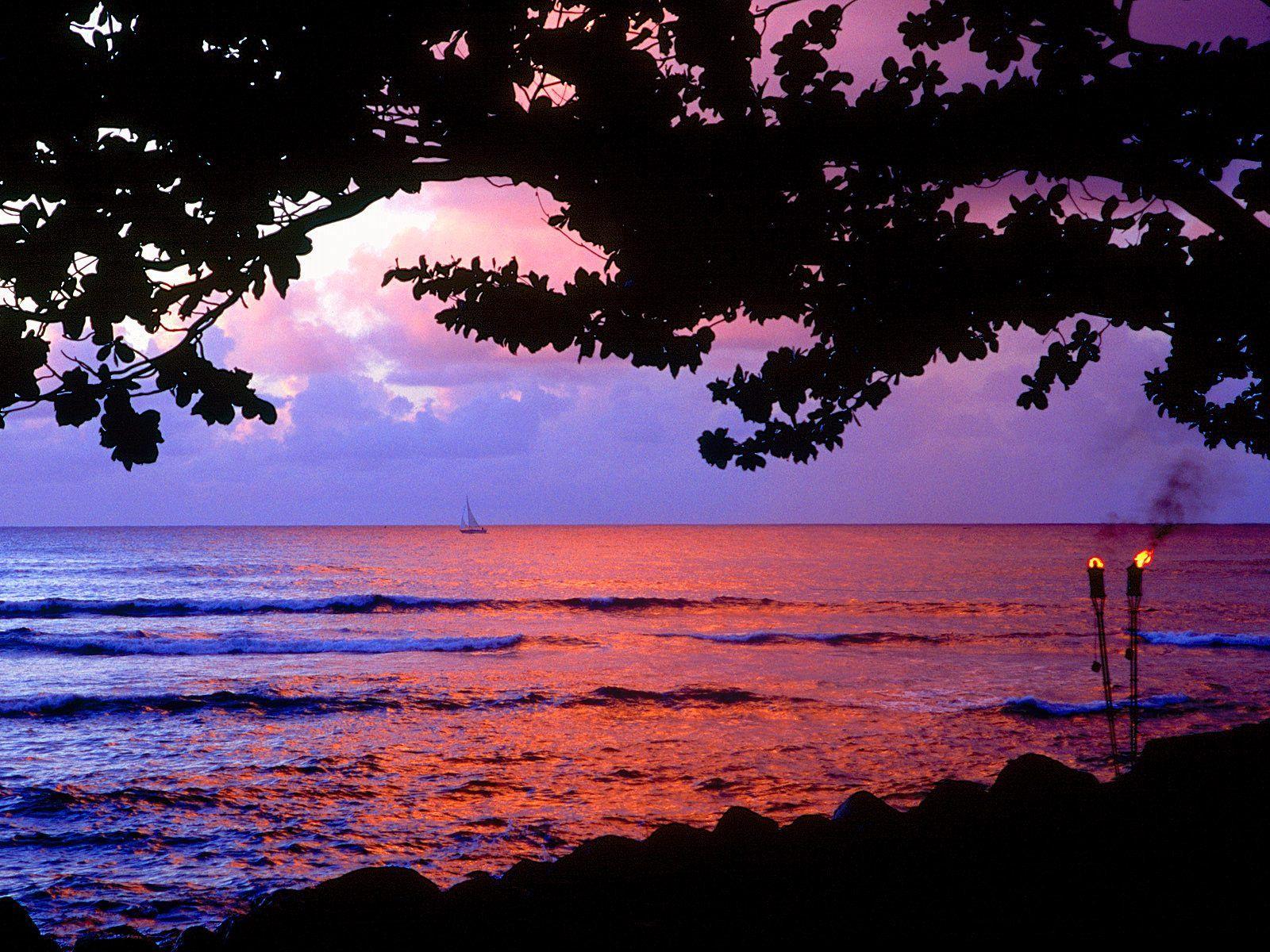 Download Background Shore Sailing, Kauai, Hawaii